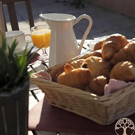 Hotel Adonis Carcassonne